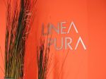 Ditta Jiřičková - Lineapura