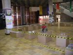 Poslední den výstavy jsme museli pro veliý nával výstavu přeskupit – návštěvníci ji mohli pouze obcházet