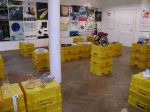 Expozice