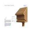 James-Ennis_BEE-House4