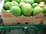 Milan Pekař: Příběh přepravy. Margareta Estrabanos Plants Company.
