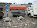 03 Želvy na parkovišti před prezidentským palácem. To je ta šedá budova skrytá za dodávkou.