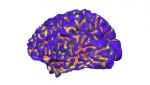 Brain manufacturing _2