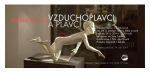Vzduchoplavci a plavci