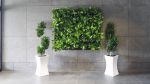 Dobře zvolené rostliny s patřičným aranžmá mohou výrazným způsobem dotvořit nejen komerční, ale i bytový interiér či exteriér
