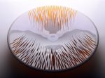 Jitka Kamencová Skuhravá  - Plate amber&opal 