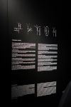 Nenodo: Forms of movement
