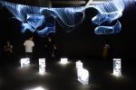 Nenodo: Forms of movement