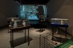 Don´t Panic - Galerie UM-UMPRUM - foto-Peter Fabo