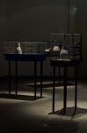 Don´t Panic - Galerie UM-UMPRUM - foto-Peter Fabo