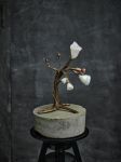 Hanuš Lamr - FRUCTUS - by Kristina Reznik