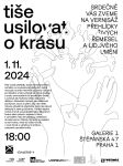 Tiše usilovat o krásu - pozvánka