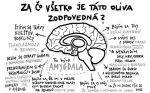 Vzal sis Slovenku