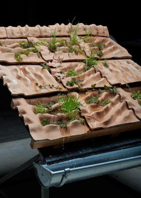 Biotopization of Roofscapes – Stela Kučerová, Michael Šourek, Adam Varga - foto Tomáš Zumr