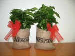 Hvězdy 3D - Nescafé kávovník
