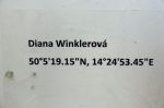 Diana Winklerová - Prostorová transformace domácího koberce, jiný úhel pohledu na krajinu