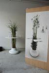Lucie Smyslová - Design interiéru