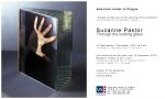 Suzanne Pastor - Through the looking glass