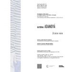 Kateřina Adamová - Jeden rok