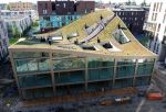 green roof