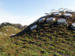 California Academy of Sciences by Renzo Piano Building - workshop