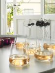 iittala_Marc Newson