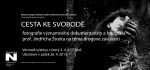 Cesta ke svobodě