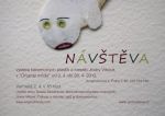 Návštěva