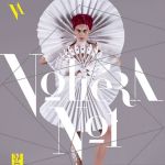 Voliéra No. 1. Oděvní silueta v současné české módní tvorbě