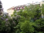 Park s dětskými hřišti v otevřeném bloku mezi ulicí Ruskou a Bulharskou 