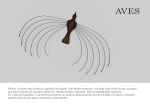 Kinetická fontána Aves