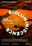 Bioluminiscence - plakát 