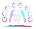 Myontec EMG měření - příklad výsledku 